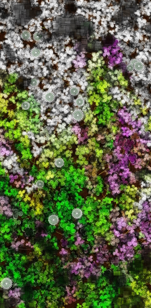 Lucky Clover, Sputniko! - collaboration work